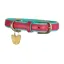 Shires Digby And Fox Padded Leather Dog Collar - Pink