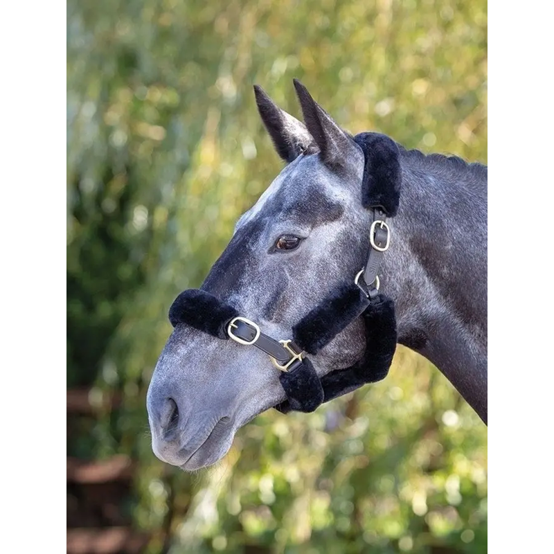 ARMA SupaFleece Halter Fleeces - 6Pack-3