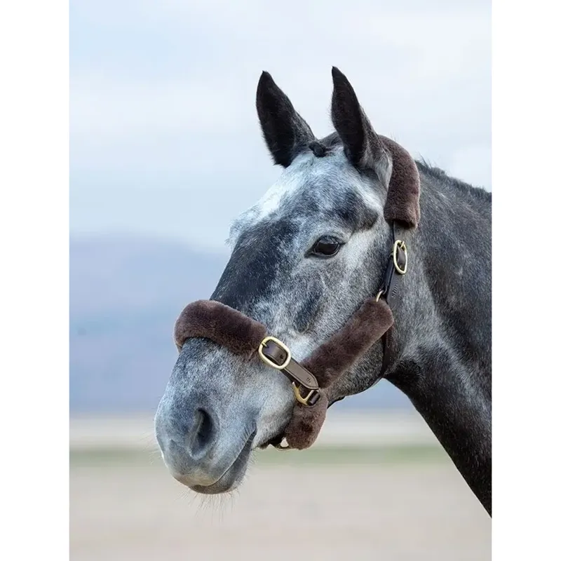 ARMA SupaFleece Halter Fleeces - 6Pack-2