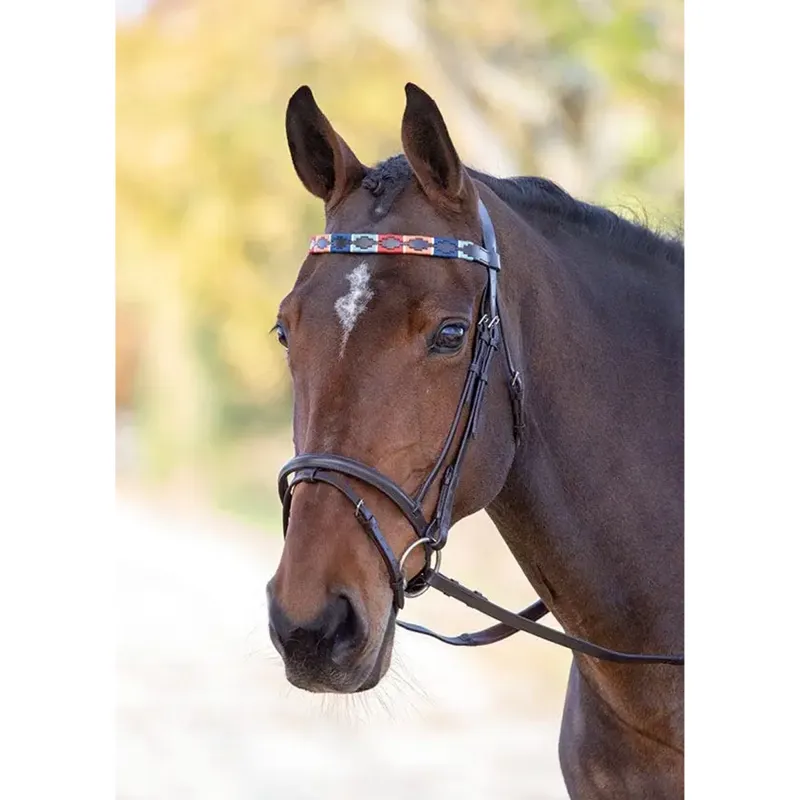 Velociti GARA Leather Polo Browband - Turquoise/Red/Orange/Blue