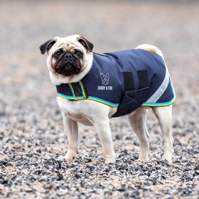 Shires Digby And Fox Waterproof Dog Rug Coat - Grey-1