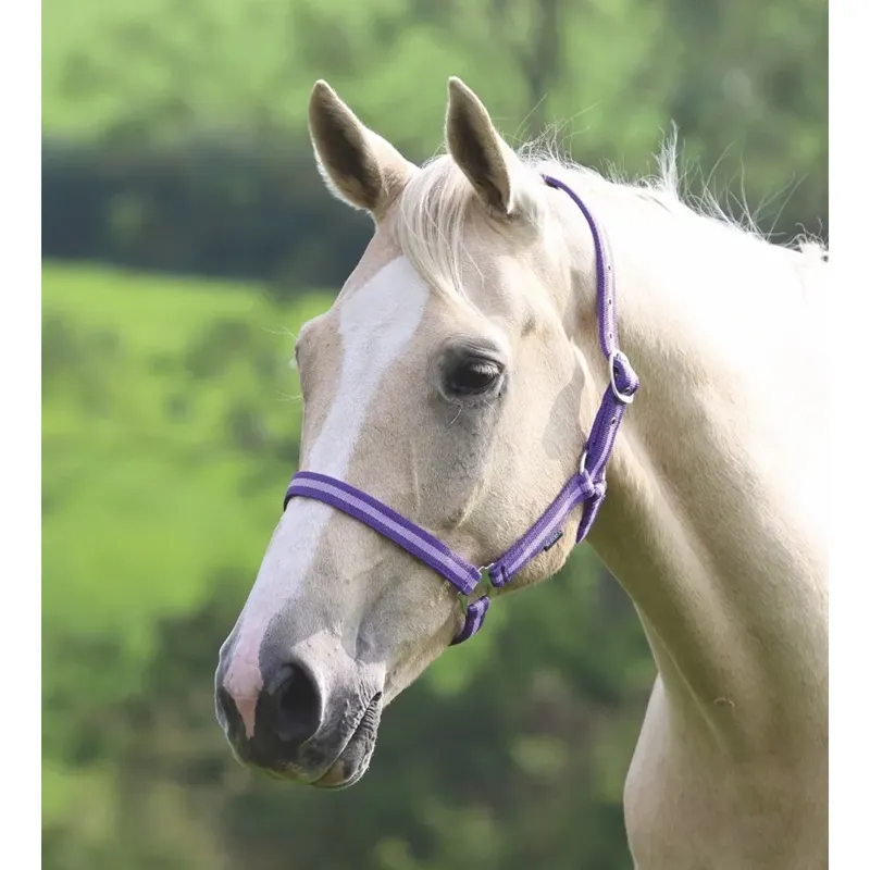 Shires Wessex Headcollar - Purple/Lilac
