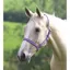 Shires Wessex Headcollar - Purple/Lilac