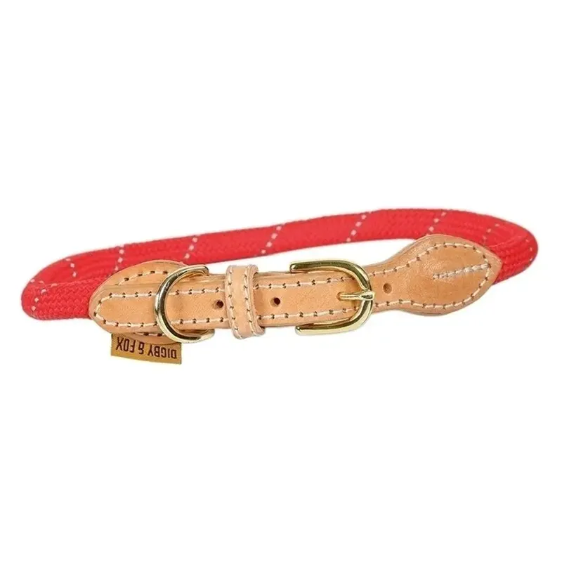 Shires Digby And Fox Reflective Dog Collar - Scarlett