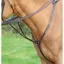 Shires Velociti GARA Hunt Weight Breastplate - Black