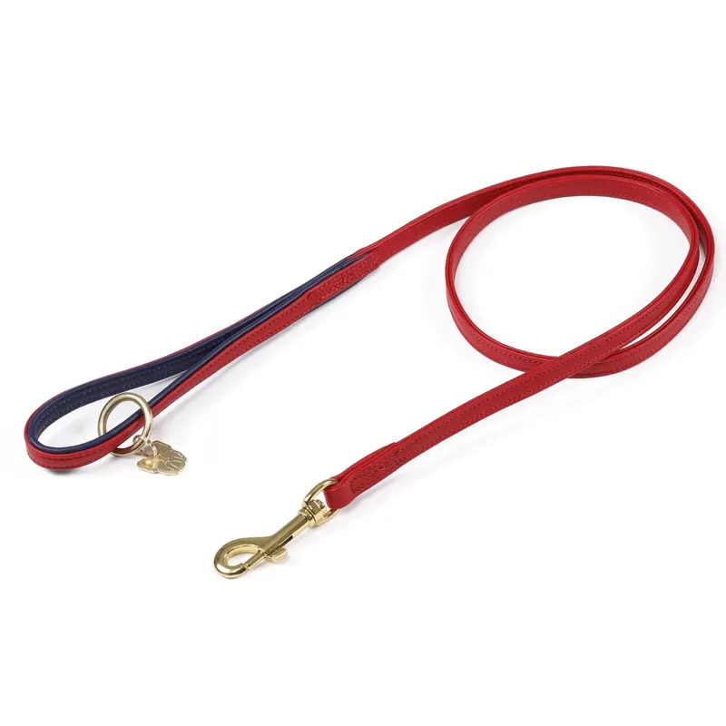 Shires Digby And Fox Padded Leather Dog Lead - Scarlett