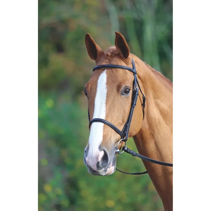 Shires Velociti GARA Raised Cavesson Bridle - Black