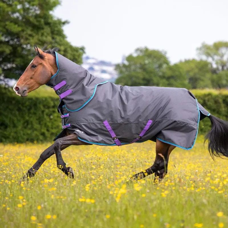 Tempest Original 300 Turnout Rug And Neck Set - Black