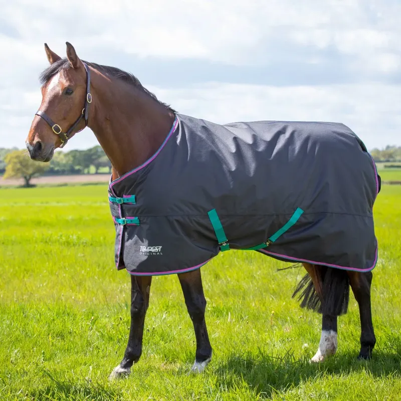 Tempest Original 300 Turnout Rug - Black
