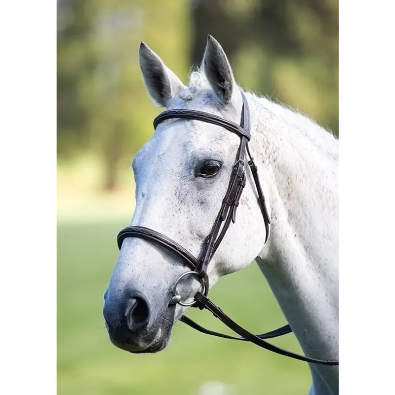 Shires Avignon Pad Raised Cavesson Bridle - Black