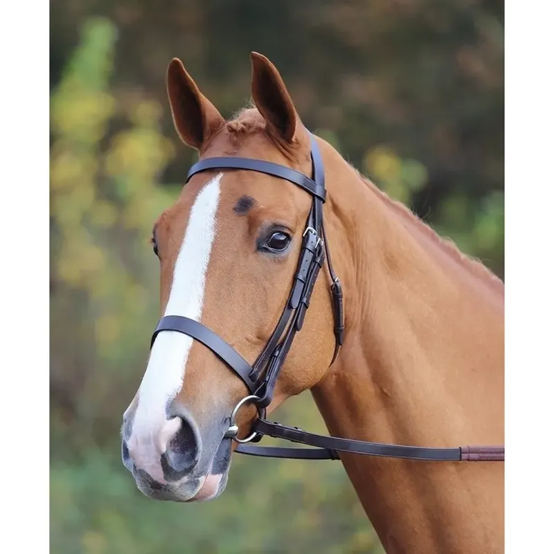 Shires Velociti GARA Plain Bridle - Havana