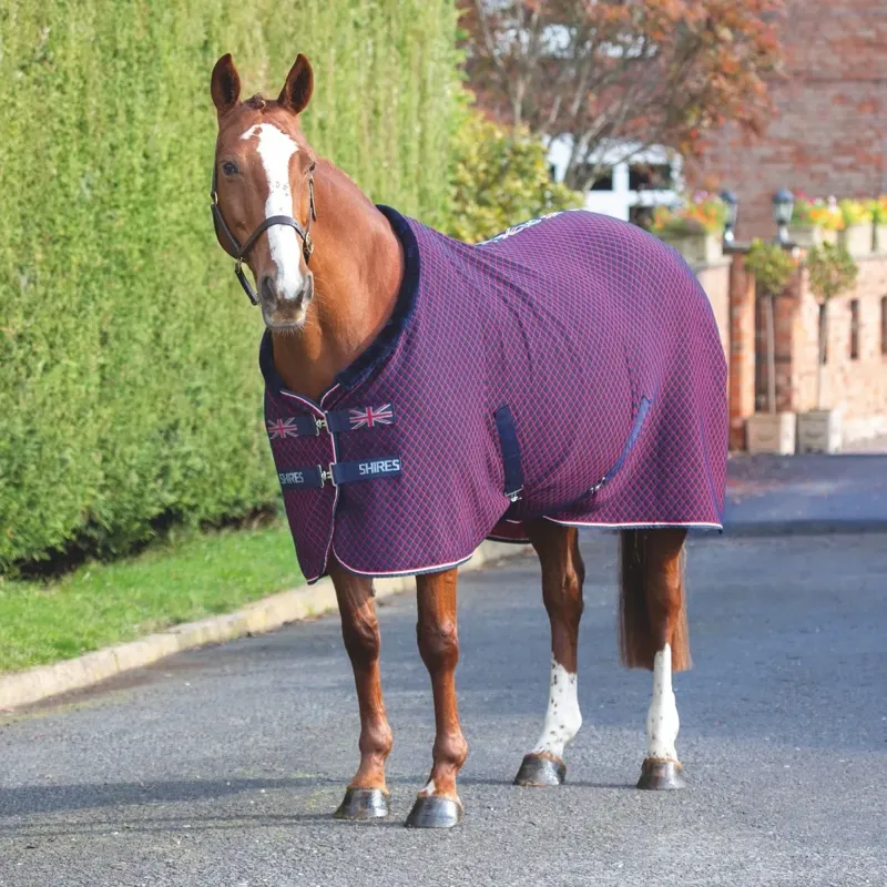 Shires Tempest Original Team Shires Rug - Navy