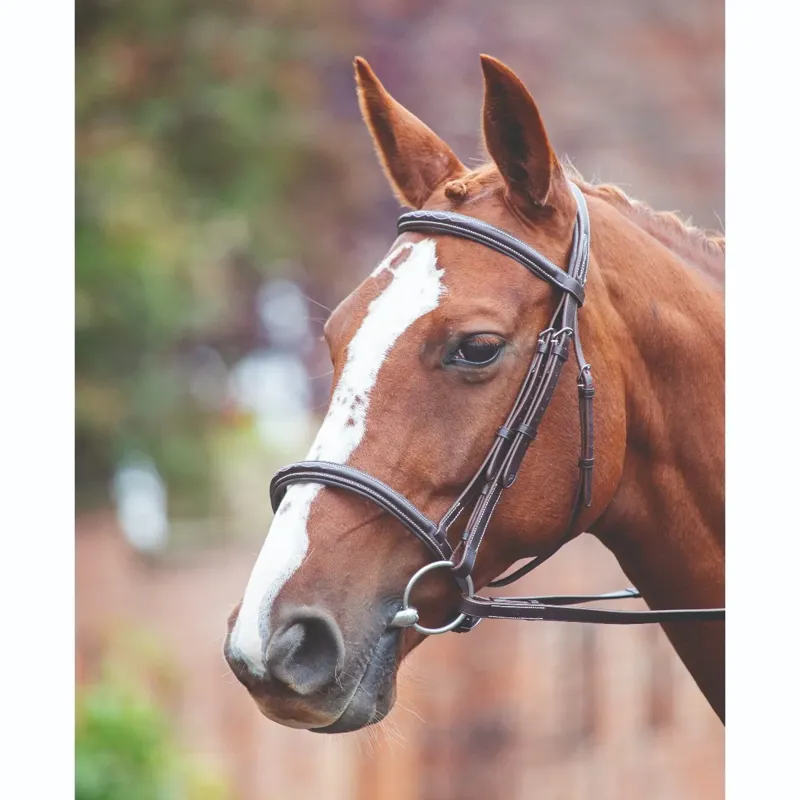 Shires Avignon Pad Raised Cavesson Bridle - Havana