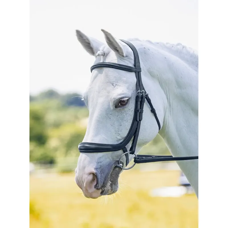 Shires Velociti RAPIDA Ergononic Curved Cavesson Bridle - Black