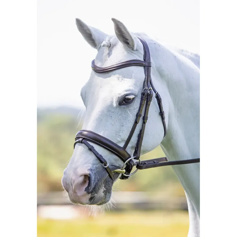 Shires Velociti RAPIDA Dressage Bridle with Flash - Havana