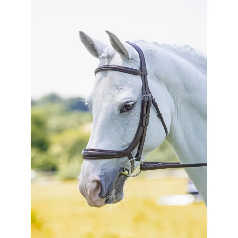 Shires Velociti RAPIDA Ergononic Curved Cavesson Bridle - Havana
