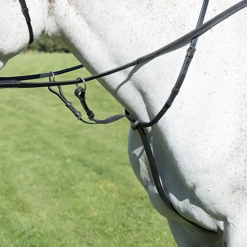 Shires Avignon Running Martingale - Black