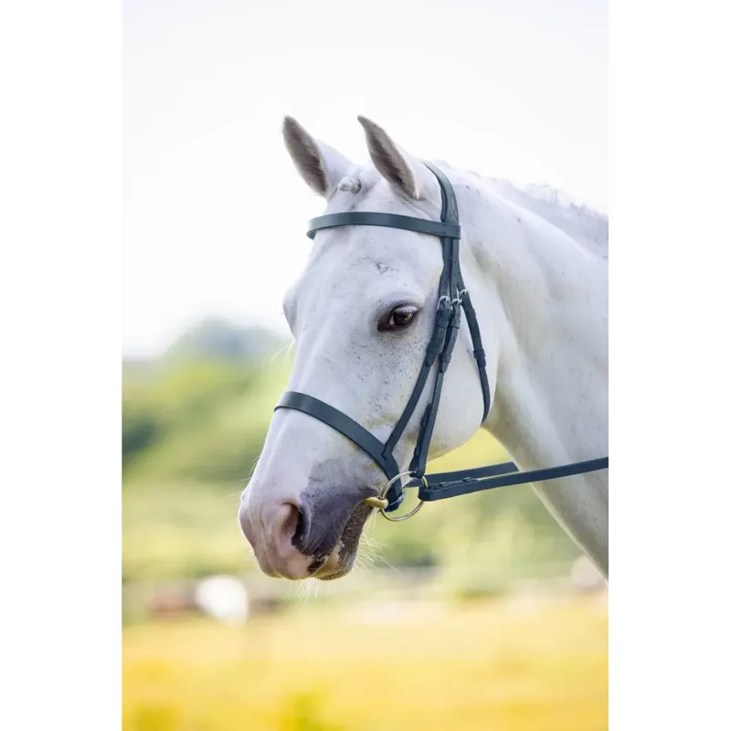 Shires Velociti RAPIDA Hunter Cavesson Bridle - Black
