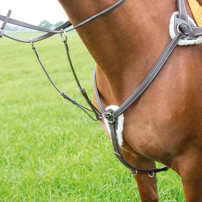 Shires Avignon 5 Point Breastplate - Havana