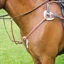 Shires Avignon 5 Point Breastplate - Oak