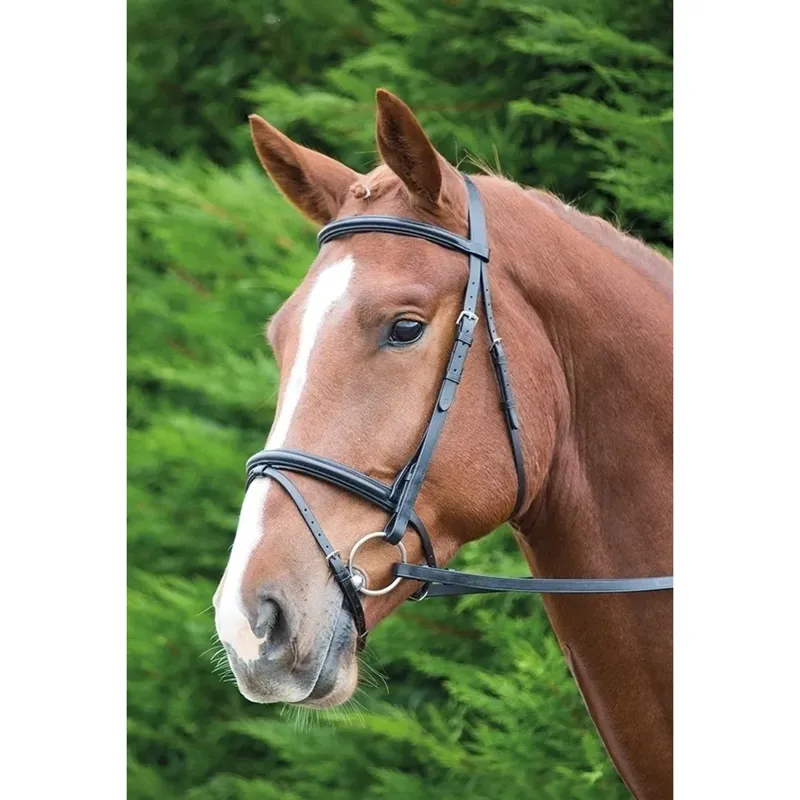 Shires Velociti GARA Raised Flash Bridle - Black