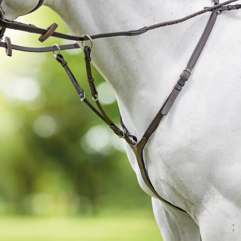 Shires Velociti RAPIDA Breastplate - Havana