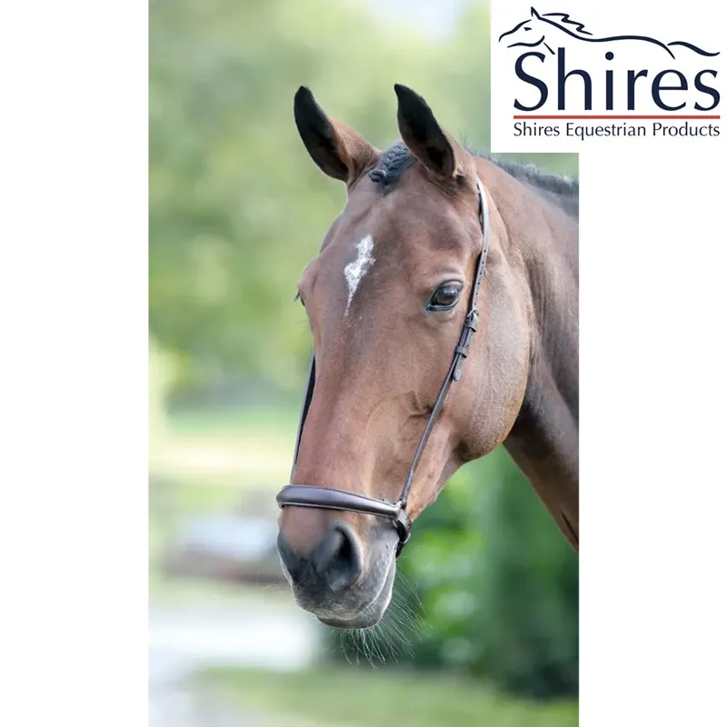 Shires Velociti Drop Noseband - Havana 