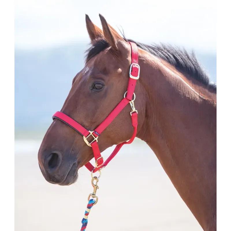 Shires Topaz Nylon Headcollar - Red