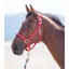 Shires Topaz Nylon Headcollar - Red