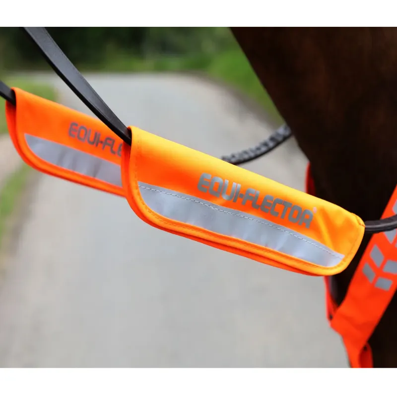 Shires EQUI-FLECTOR Bridle Bands - Orange