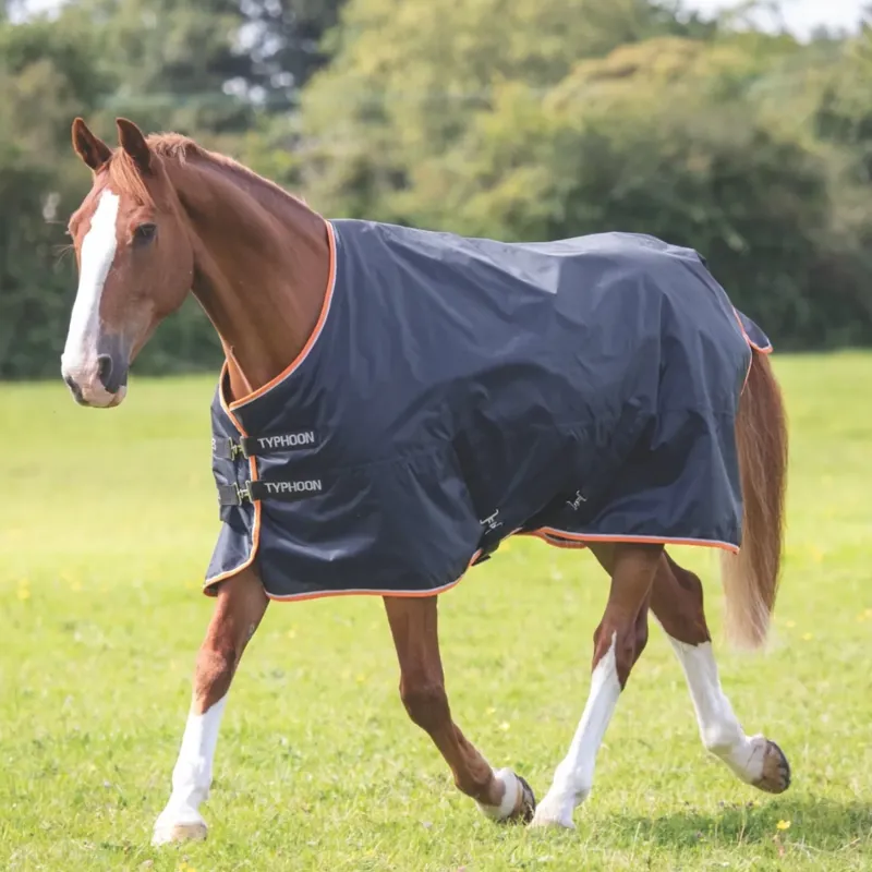 Shires Typhoon 200 Turnout Rug - Black