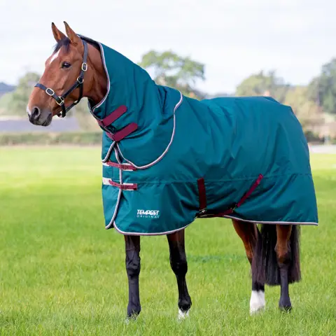 SHIRES EQUESTRIAN PRODUCTS Highlander Plus 300g Horse Turnout Blanket, Grey, 87-in SHIRES EQUESTRIAN PRODUCTS Highlander Plus 300g Horse Turnout Blanket, Grey, 87-in
