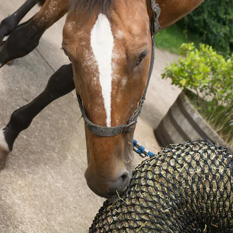 Trickle Net Original - Black-2