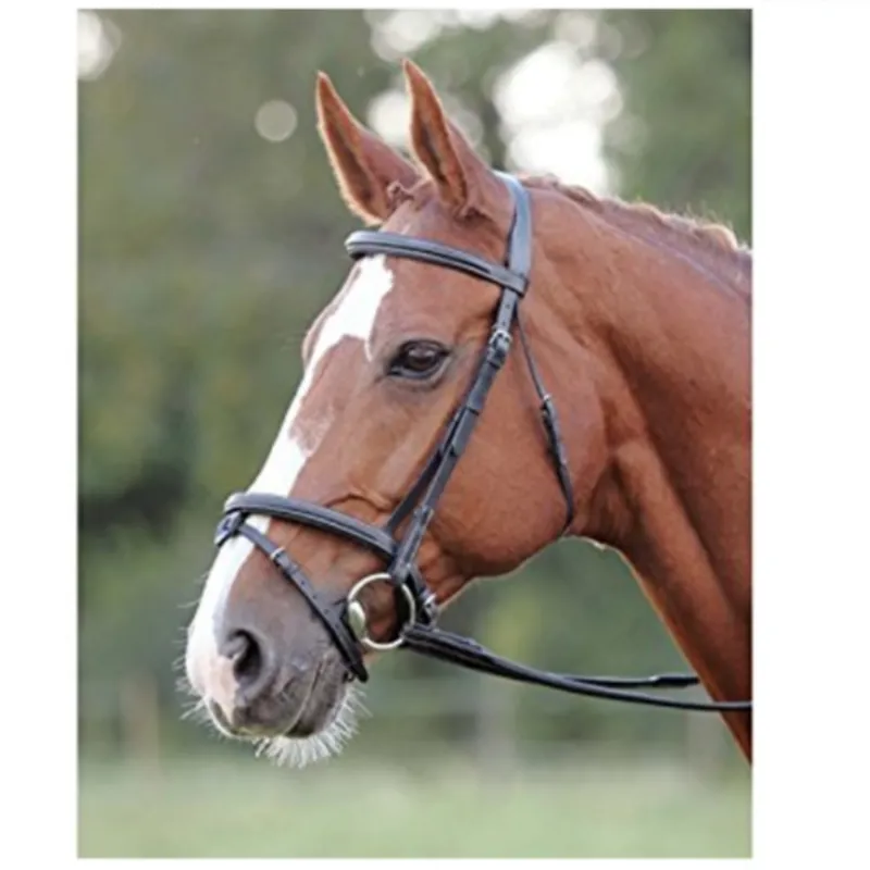 Shires Avignon Comfort Bridle - Black 