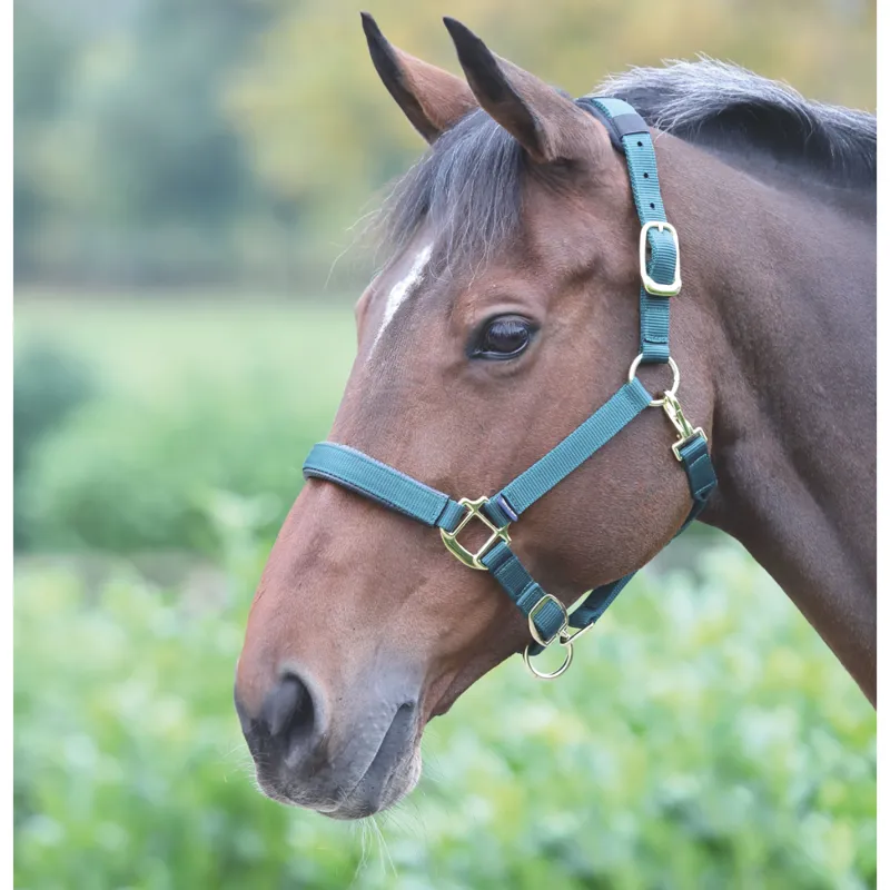 Shires Topaz Nylon Headcollar - Dark Green