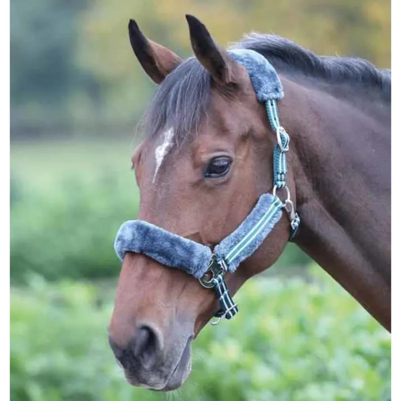 Shires Stripe Headcollar - Green
