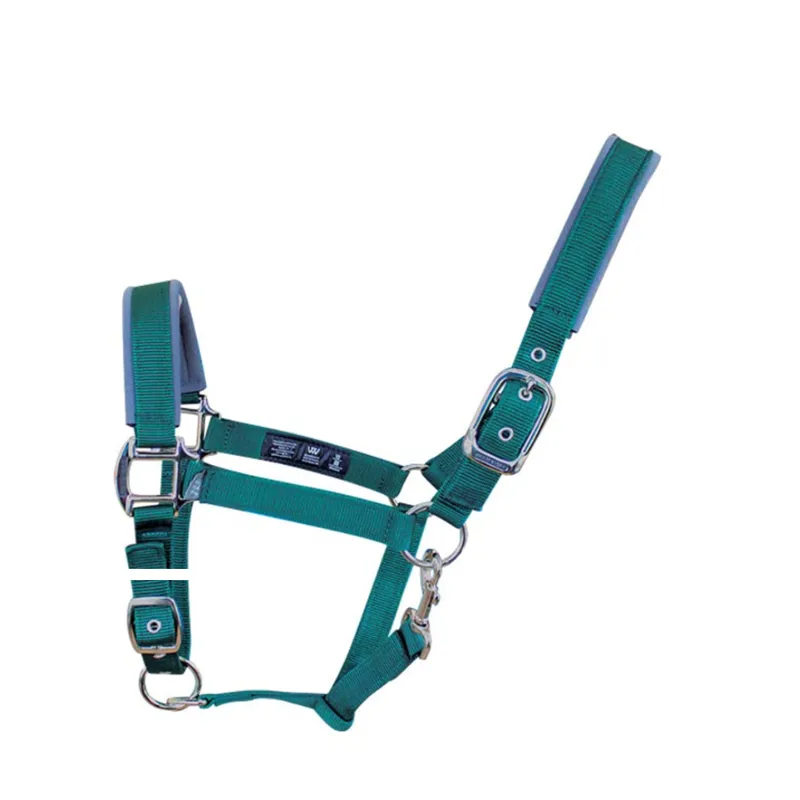 Woof Wear Contour Headcollar - British Racing Green