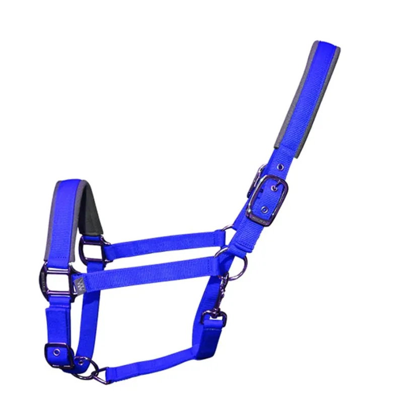 Woof Wear Contour Headcollar - Electric Blue
