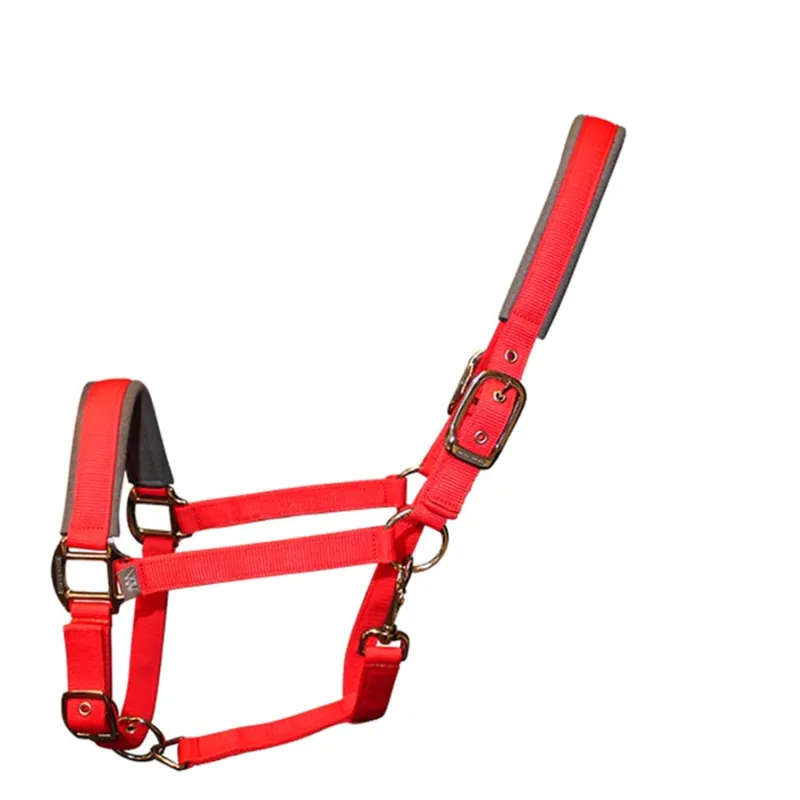 Woof Wear Contour Headcollar - Royal Red
