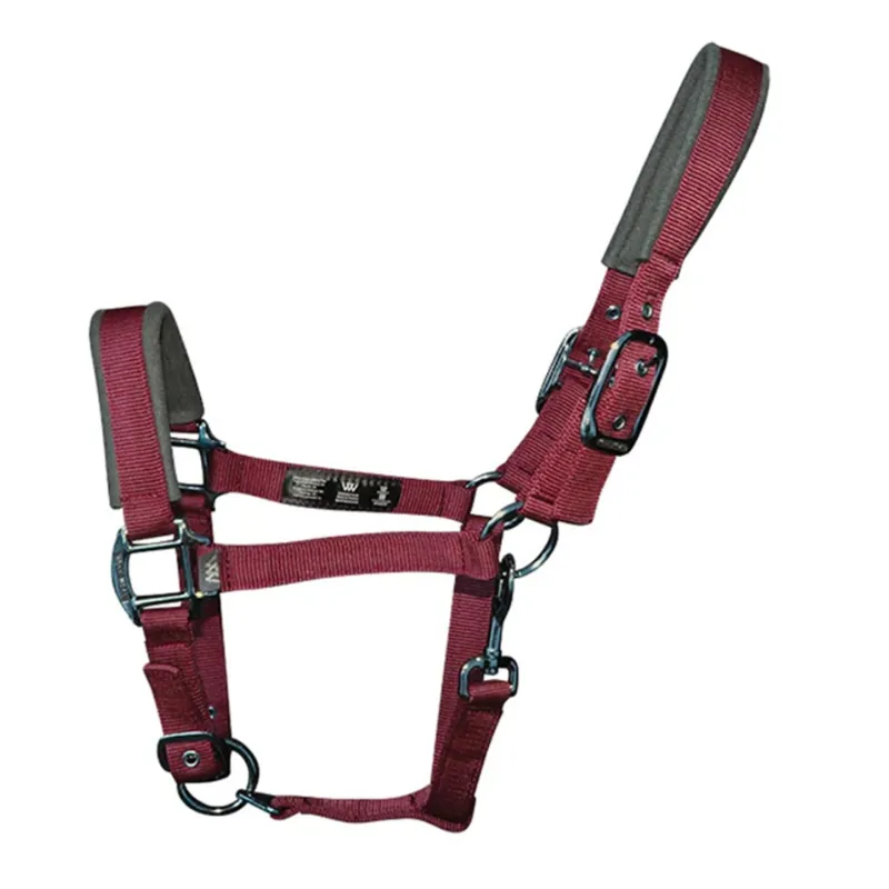 Woof Wear Contour Headcollar - Shiraz