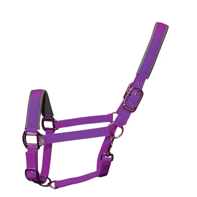 Woof Wear Contour Headcollar - Ultra Violet
