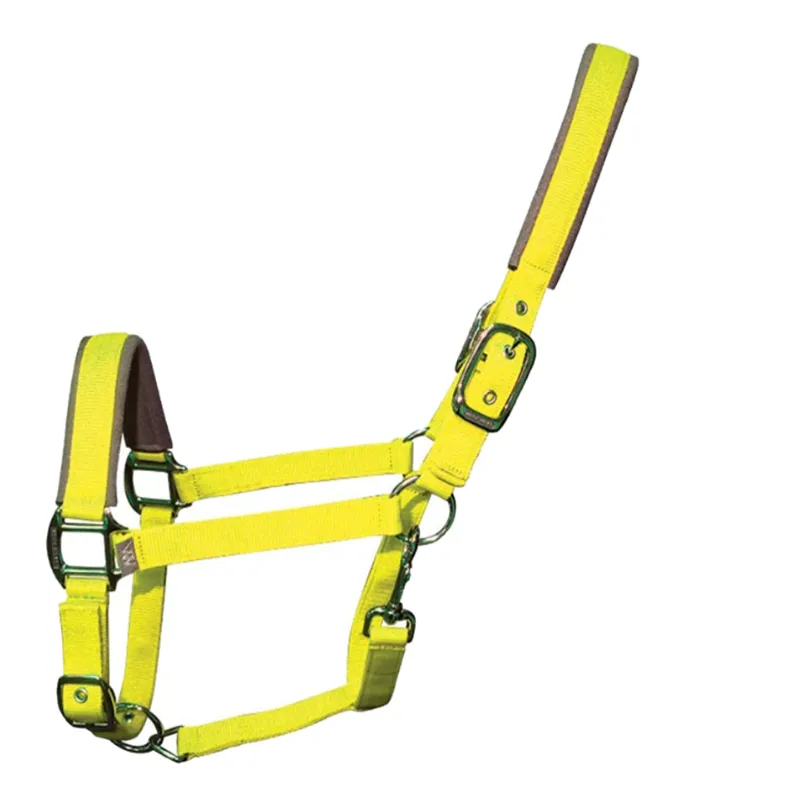 Woof Wear Contour Headcollar - Sunshine Yellow