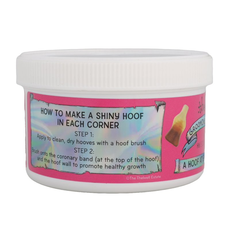 Thelwell Grooming Academy By Hy Equestrian - A Hoof At Each Corner - 300g-2