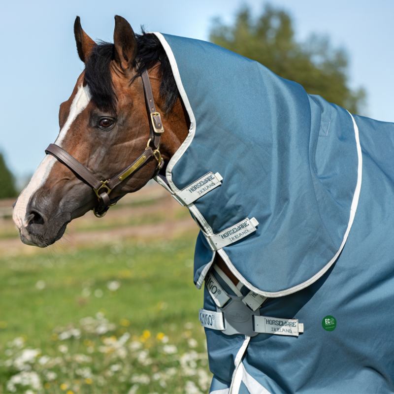 Horseware Amigo AmECO 12 Plus 100g Turnout Rug - Teal/Grey-3
