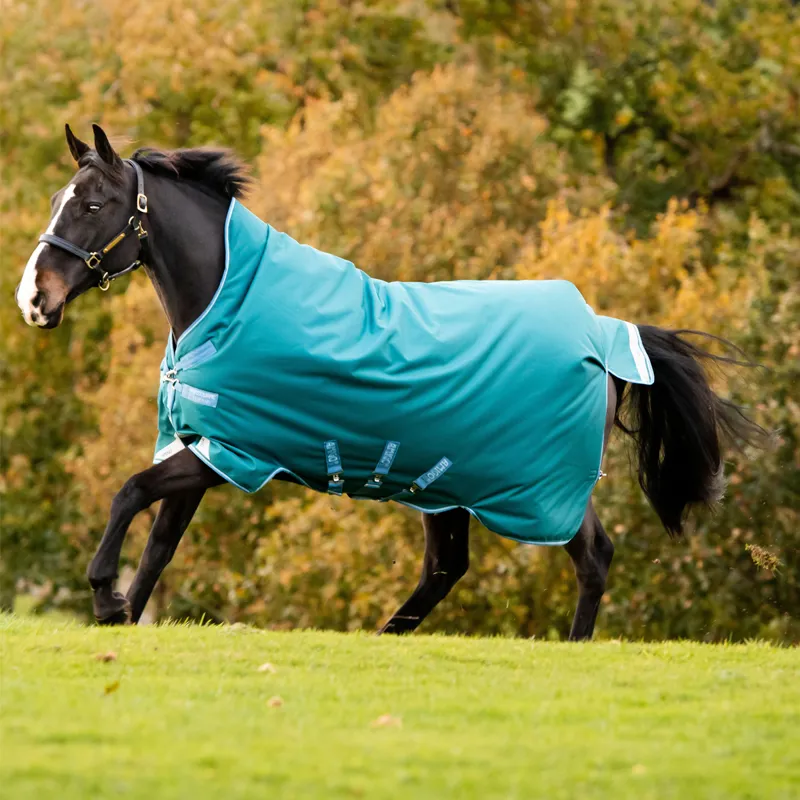 Horseware Amigo Bravo 12 Wug 0g Turnout Rug - Storm Green/Turquoise/Aqua-1