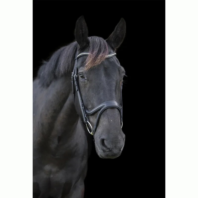 EcoRider Ecosoft Acclaim Bridle - Black