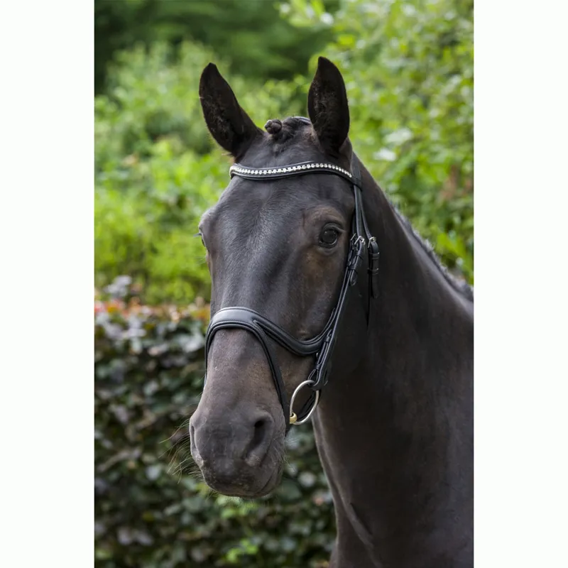 EcoRider Ecosoft Acclaim Bridle - Black-9