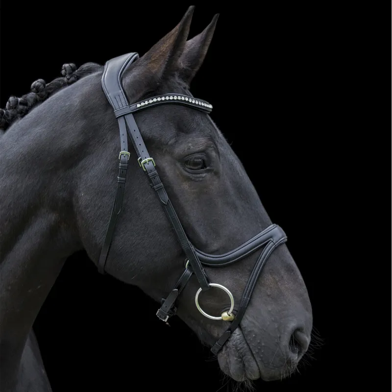 EcoRider Ecosoft Acclaim Bridle - Black-1