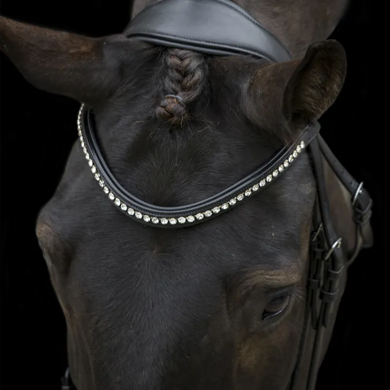 EcoRider Ecosoft Acclaim Bridle - Black-2