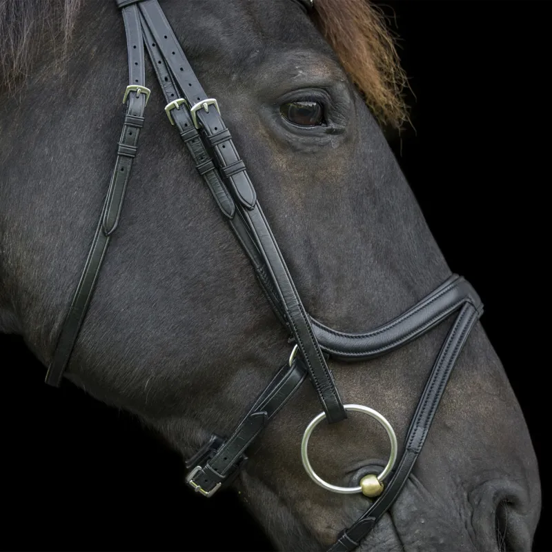 EcoRider Ecosoft Acclaim Bridle - Black-3